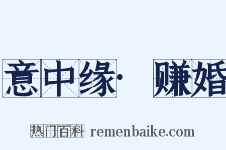 意中缘·赚婚是什么意思的图片